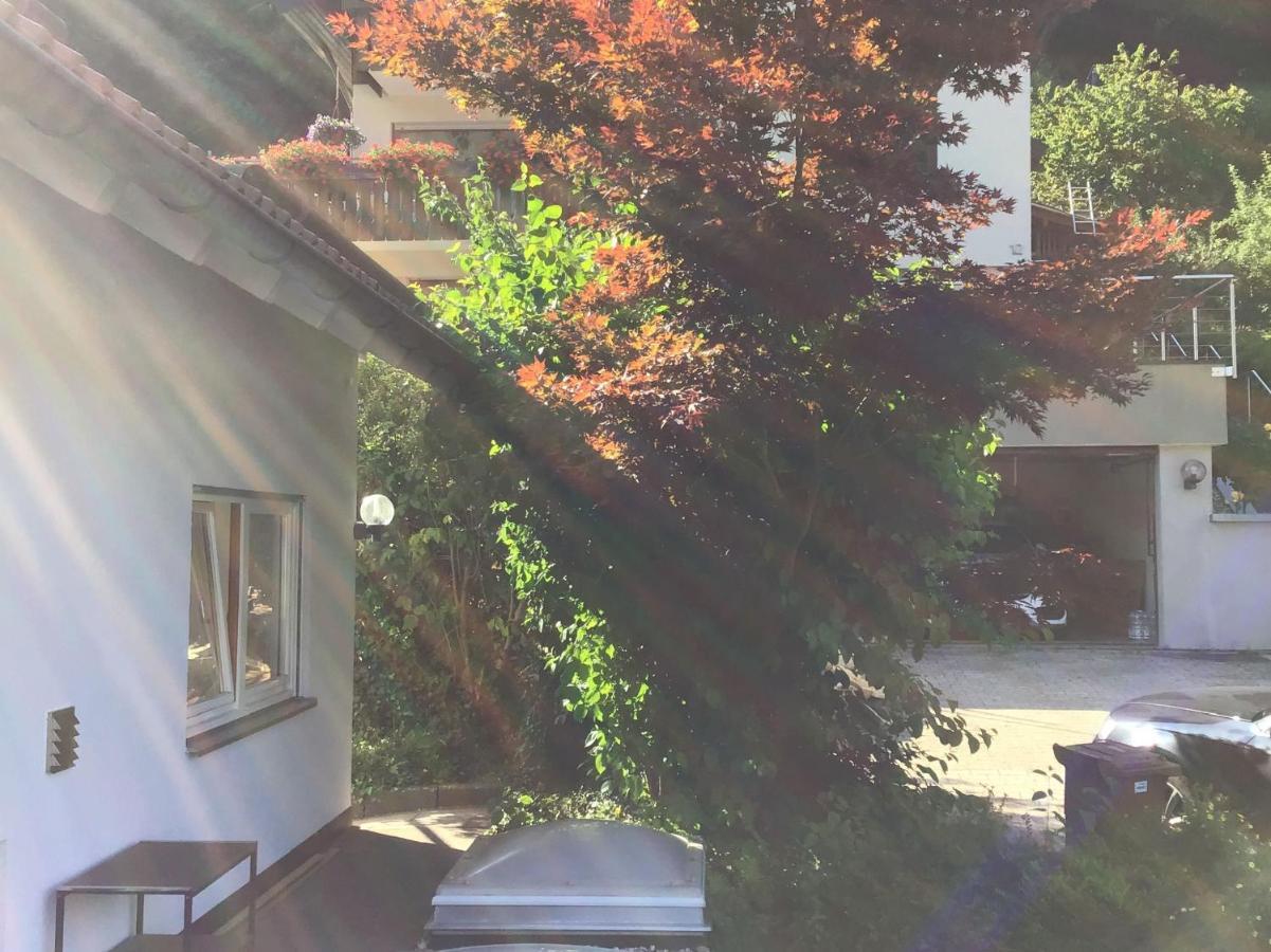 Ferienwohnung Am Eiberg Bad Wildbad Esterno foto